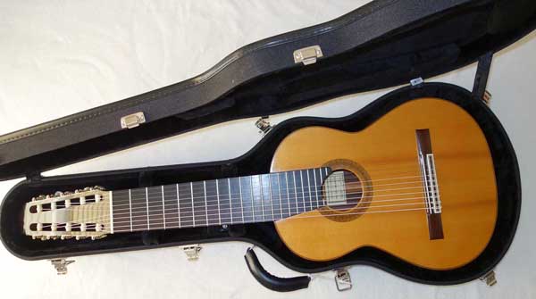 NEW AMERITAGE AME-CAT-S-10 Professional Case for 8- & 10-String Classical Harp Guitars, by Cathedral Guitars