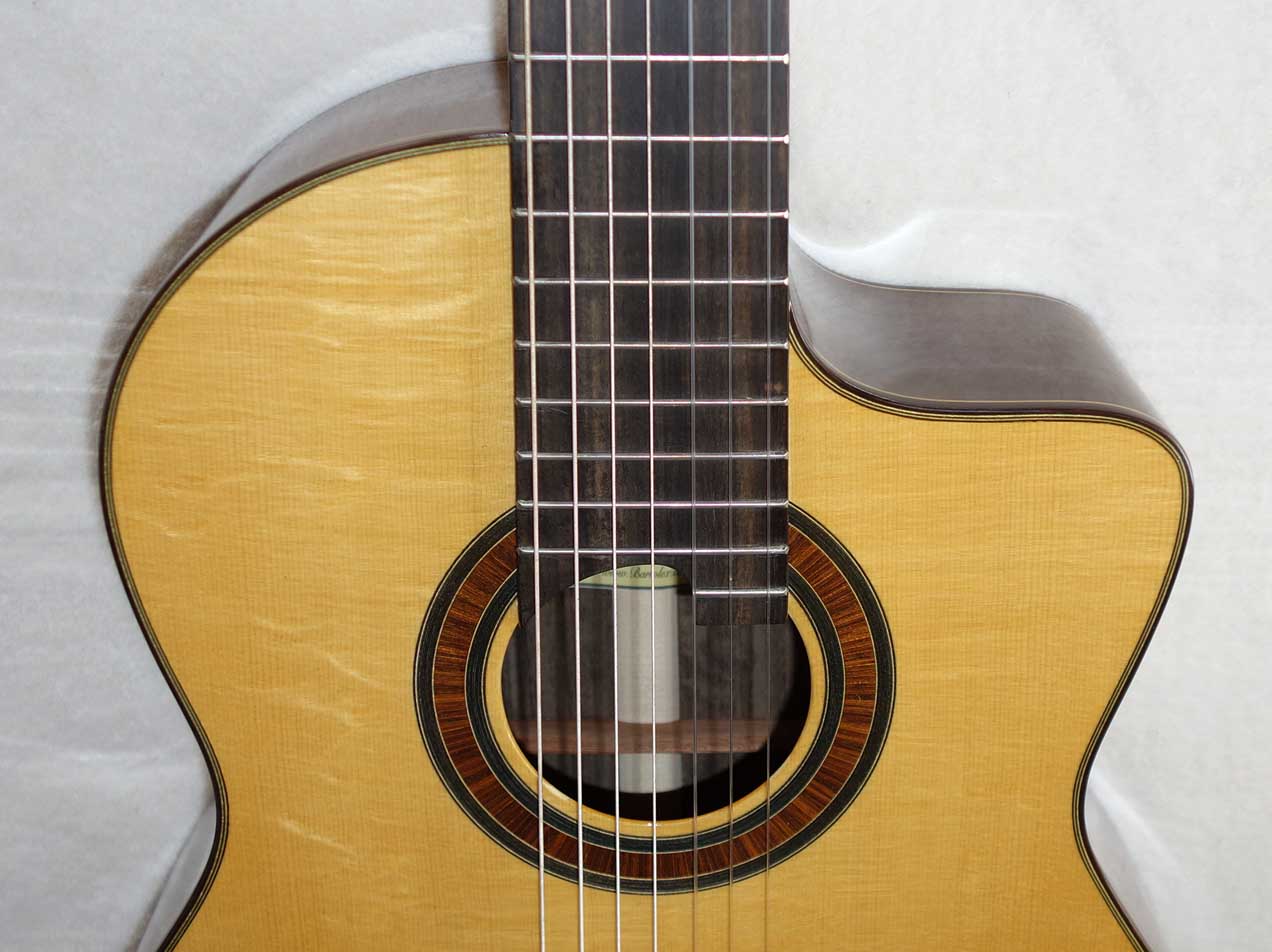 New BARTOLEX SRS7CEL Classical 7-String Harp Guitar w/Solid Spruce Top, Cutaway, Fishman Preysy Pickup, and Hardshell Case