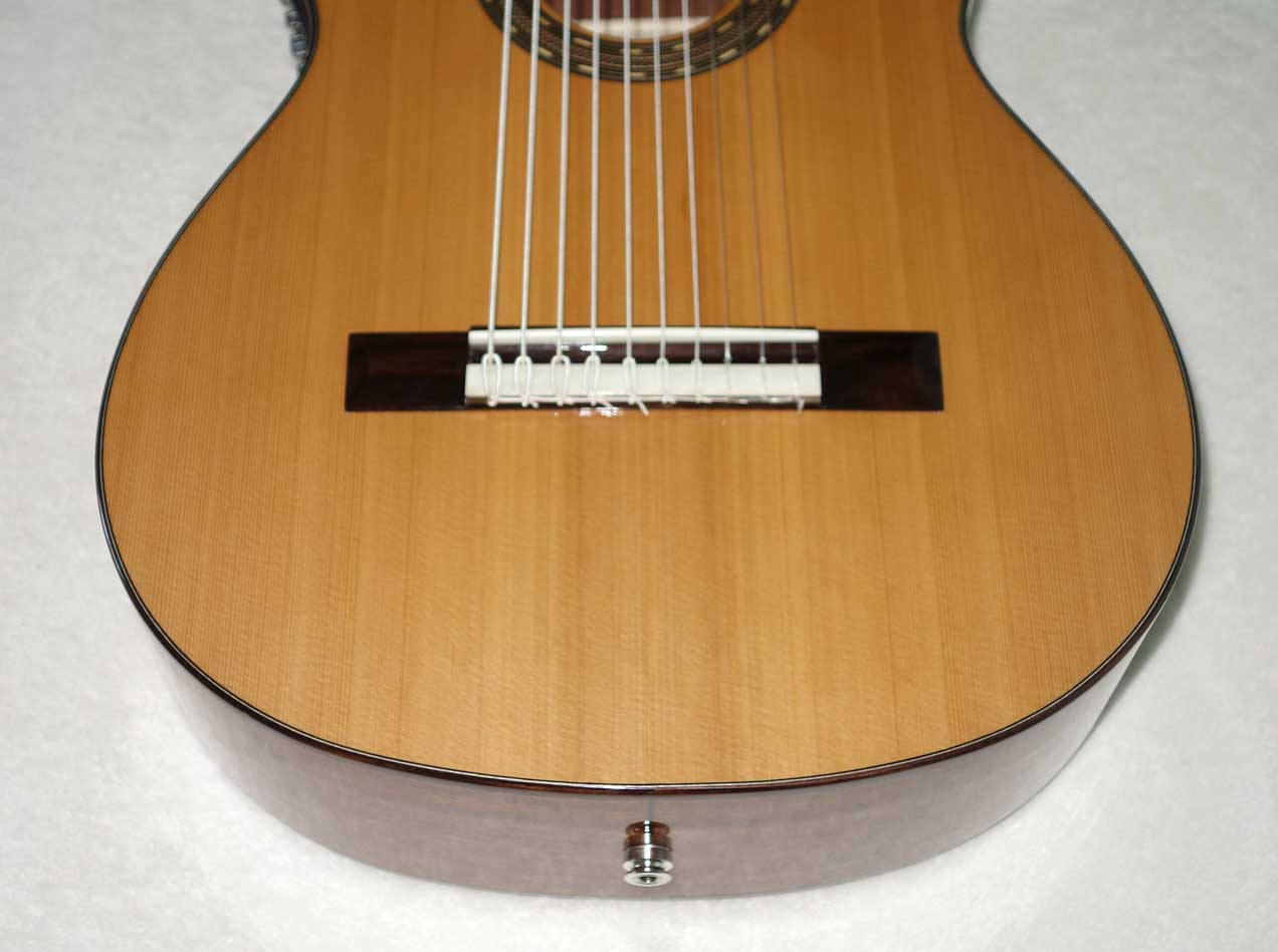 NEW 2017 Cathedral Guitars 125CEL 10-String Classical Harp Guitar w/Cutaway, Pickup, Hardshell Case