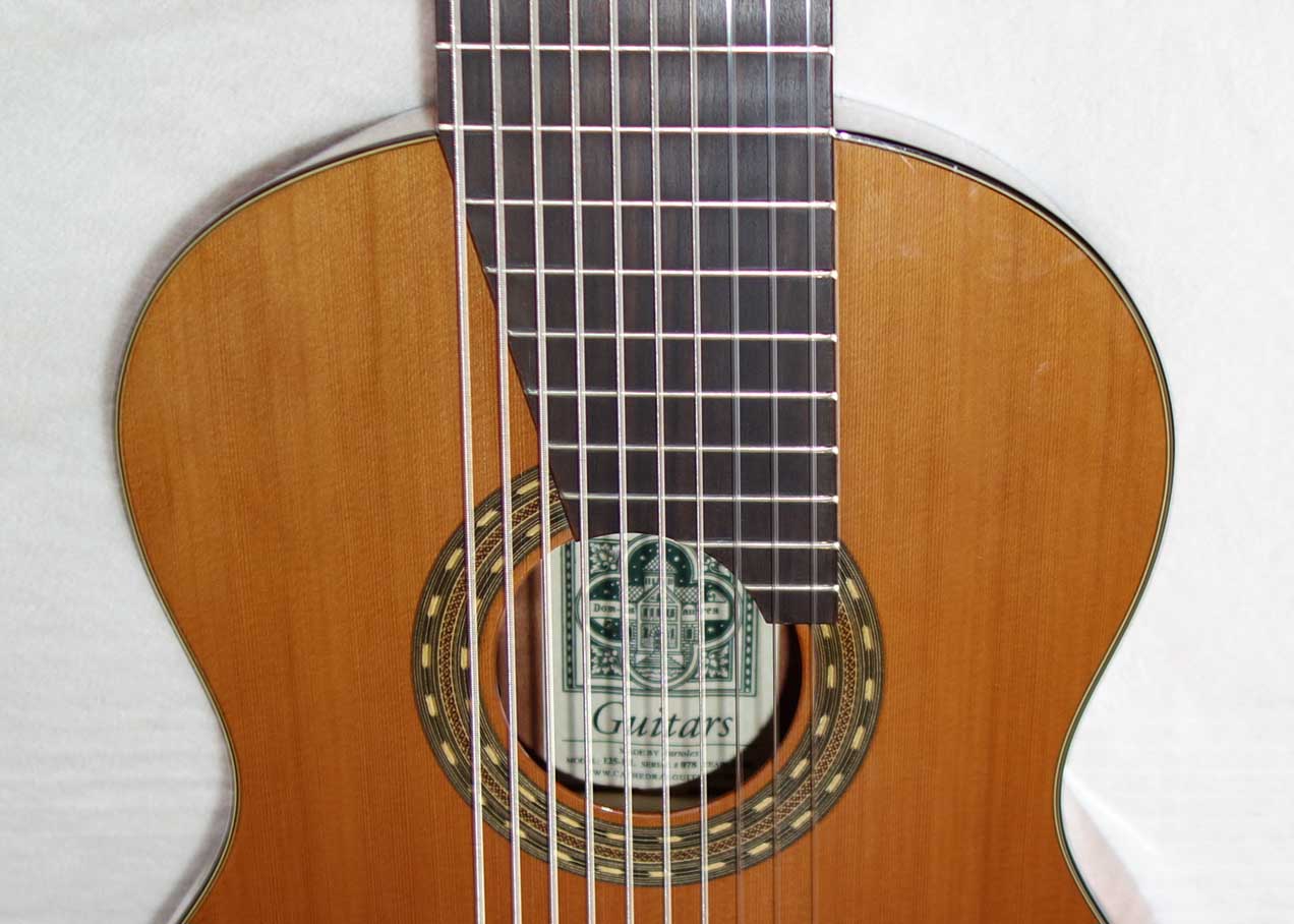 Used 2016 Cathedral Guitars Model 125EL 10-String Classical Harp Guitar w/BBand A2.2 Pickup, Hardshell Case