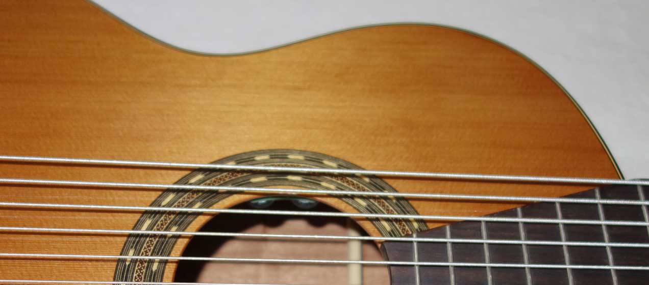 New Cathedral Guitars Model 125-EL Classical 10-String Harp Guitar w/BBand A2.2 Pickup, Hardshell Case