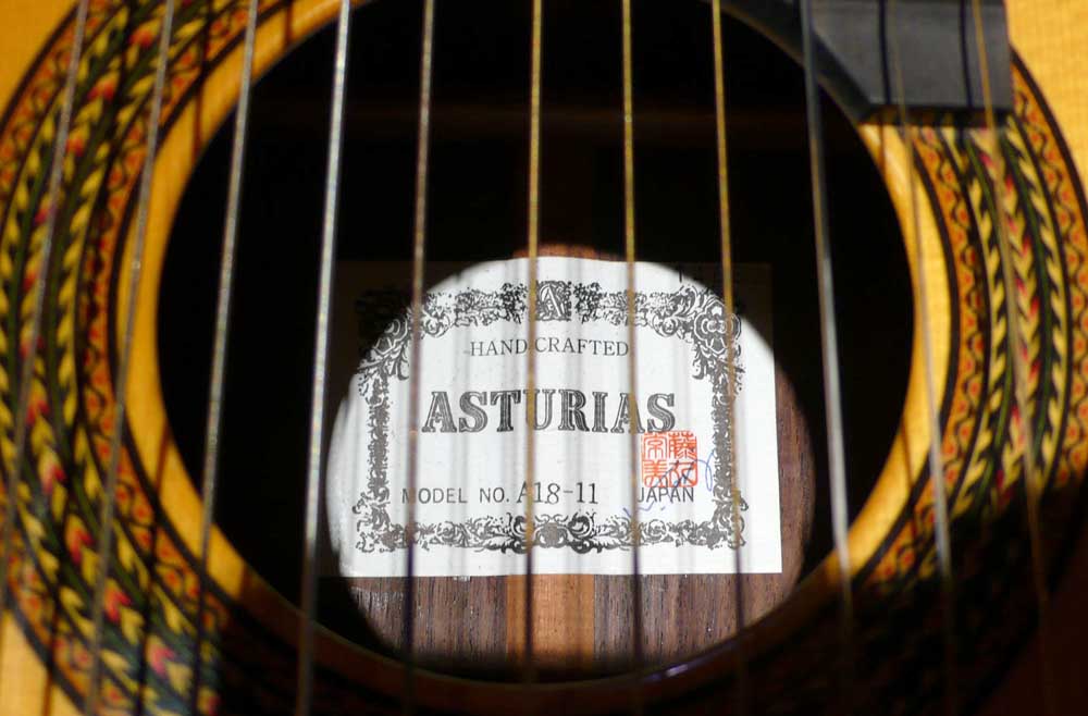11-String Asturias Alto Classical Harp Guitar, by Wataru Tsuji, Japan