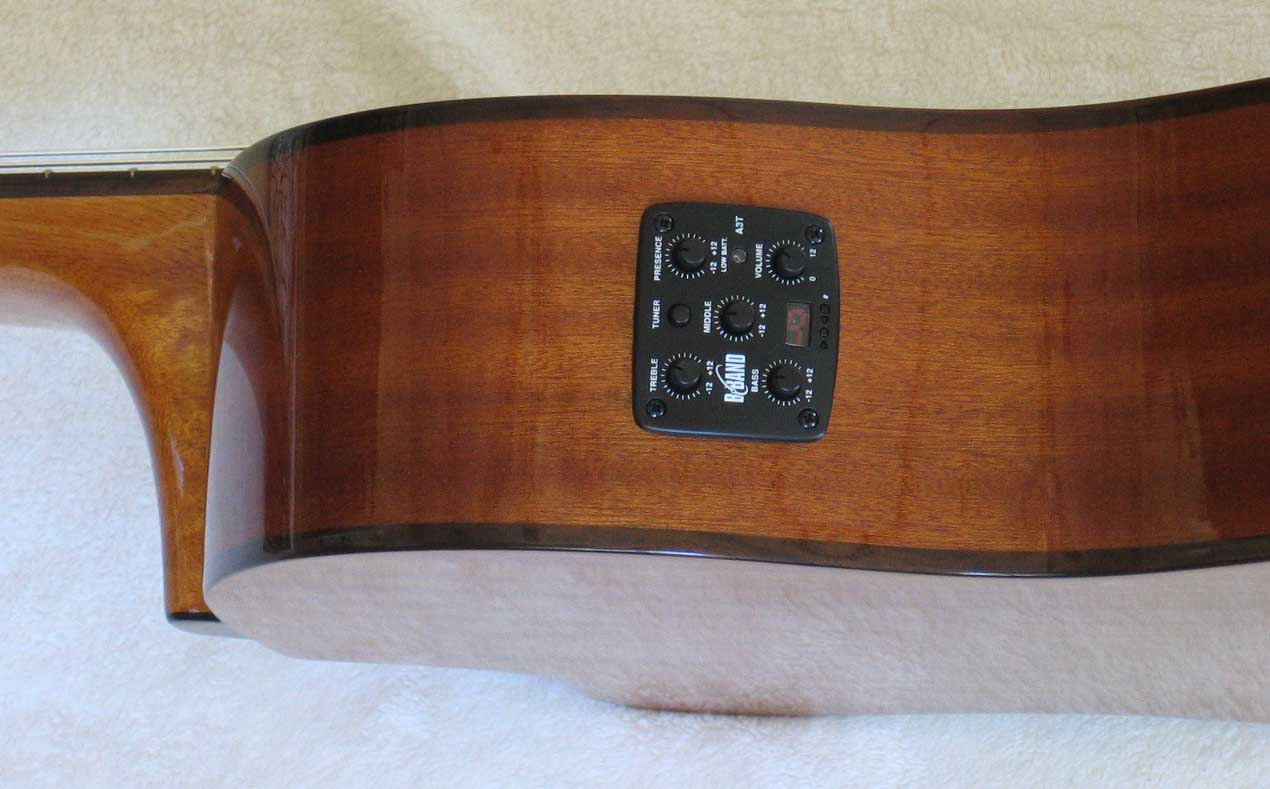 Cathedral Guitar Model 125CEL Classical Harp Guitar with Cutaway, & BBand A3T Pickup