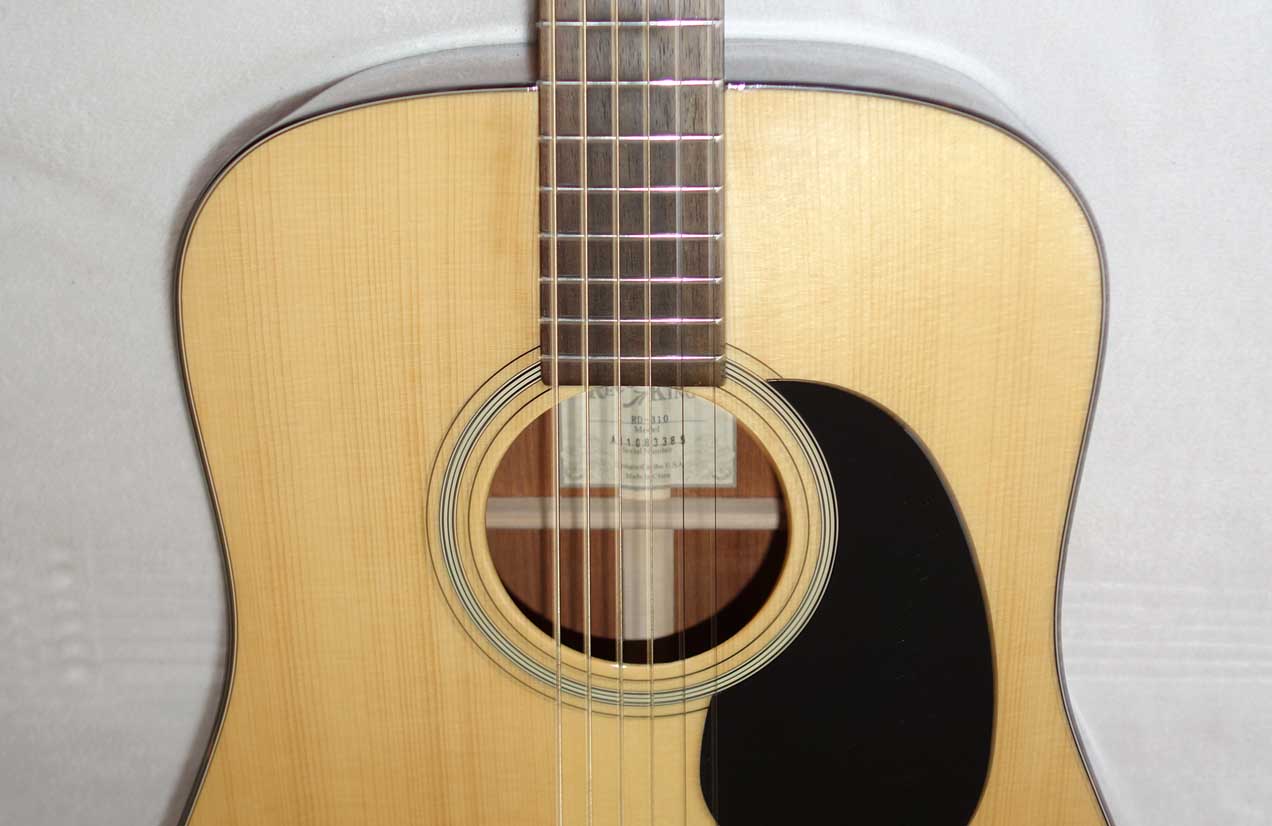Used Recording King RD-310 All-Solid Dreadnought w/Adirondack Spruce