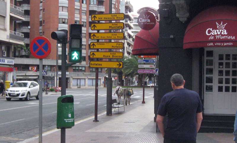 Burro