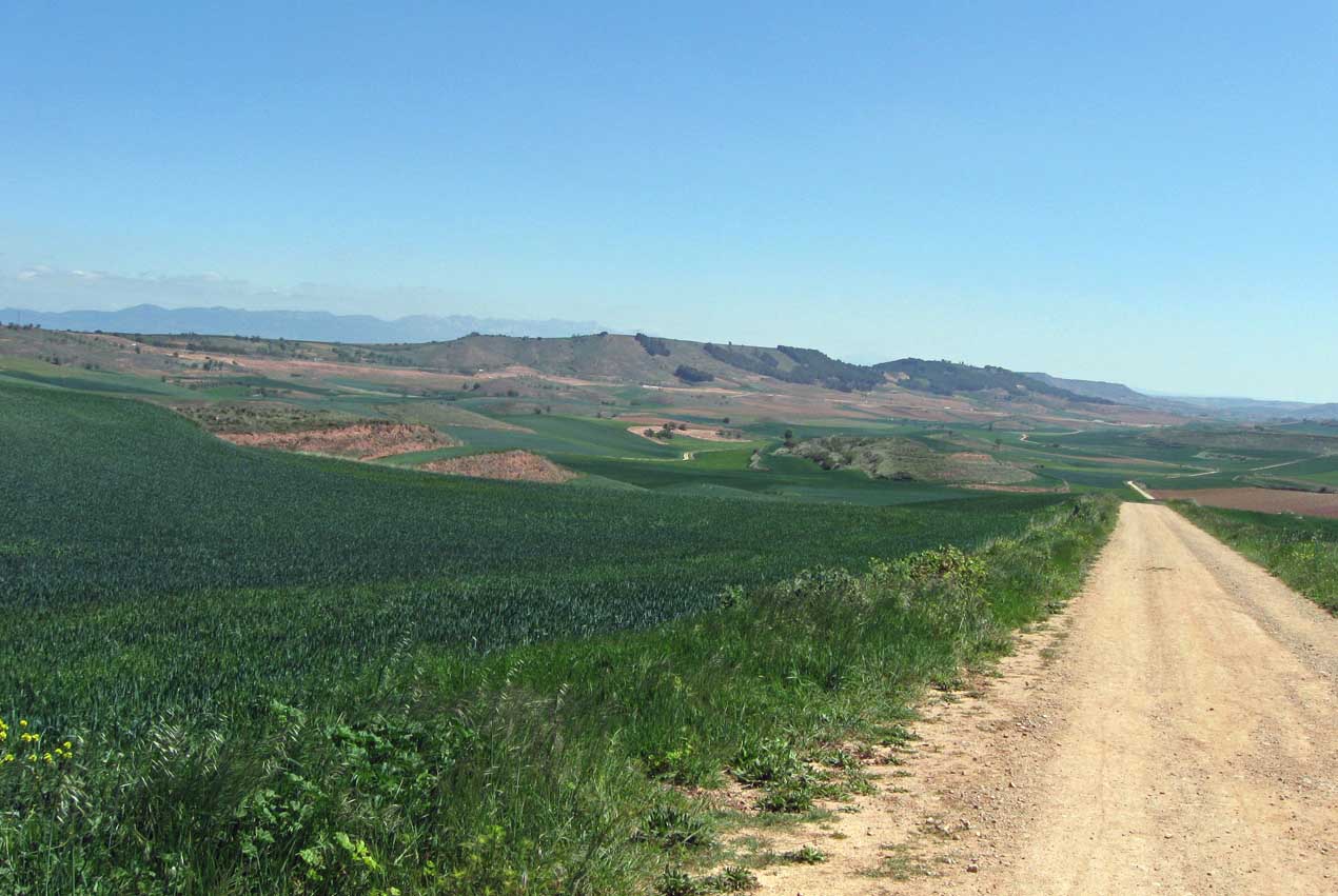 Open Road