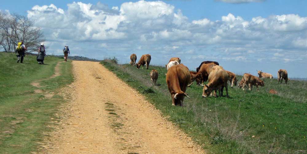 Range Road