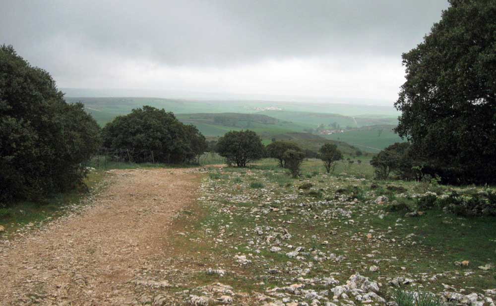 Vista