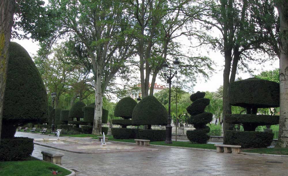 Topiary