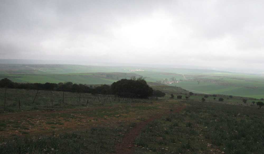 Misty Vista
