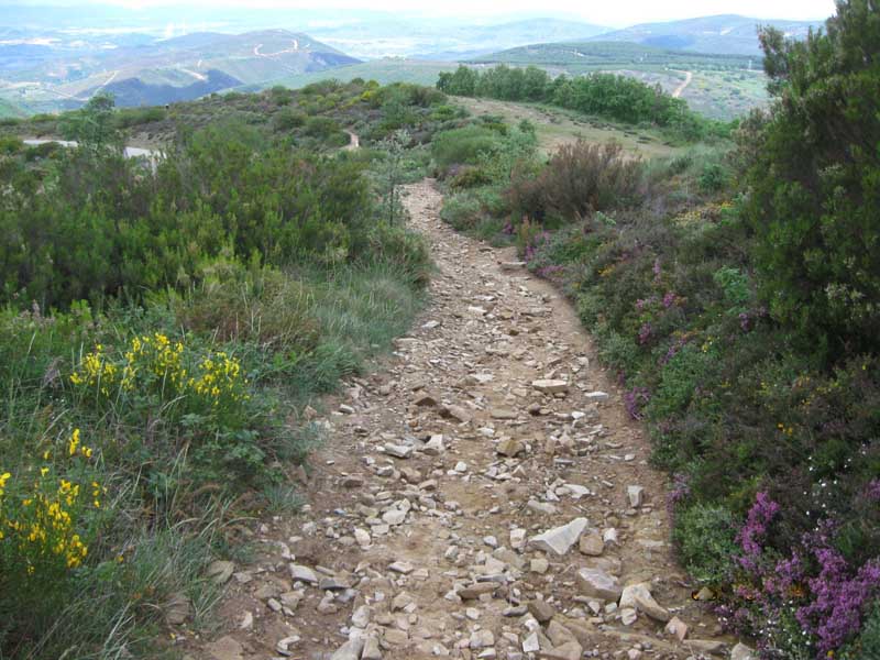 Galicia