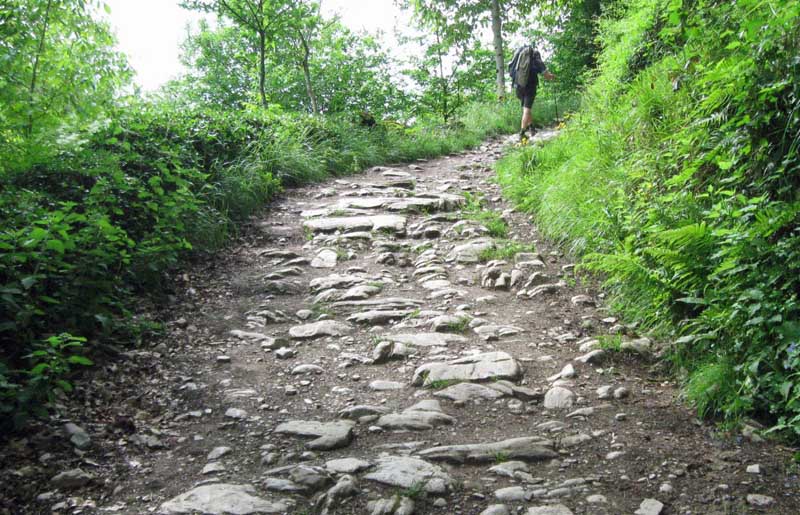 Ascent