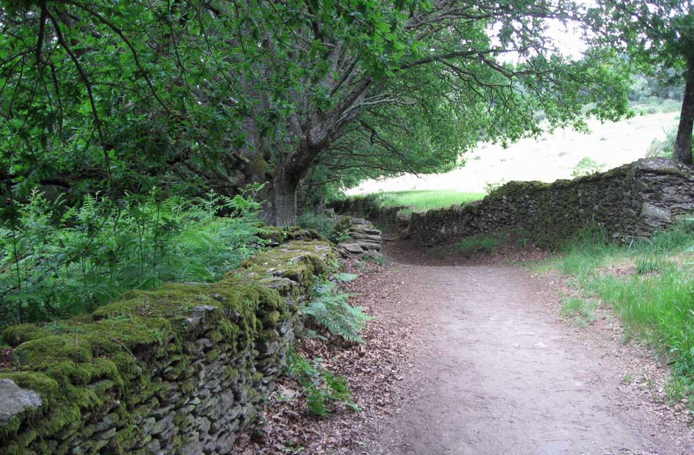 Country Road